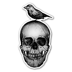 Sticker d'un oiseau perché sur une tête de mort par Musketon. 