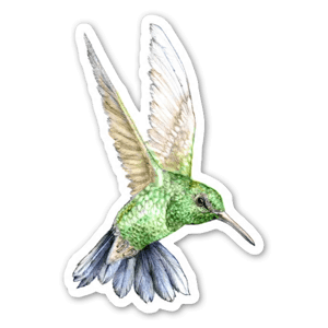 Un très beau sticker d'une illustration représentant un colibri vert. 