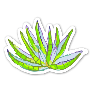 Sticker Aloe Vera