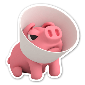 Sticker Rosa le cochon, collerette