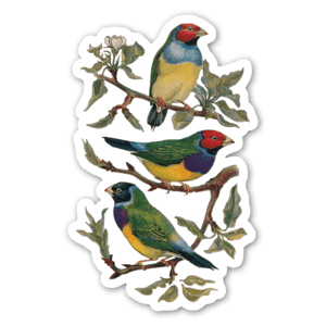 Sticker oiseaux vintage