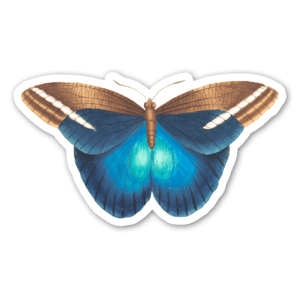 Sticker papillon bleu