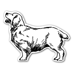 Stickers Golden Retriever noir et blanc.