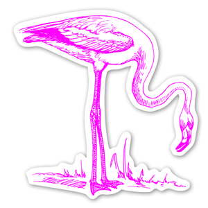 Stickers flamant rose pour les amoureux de la Camargue.